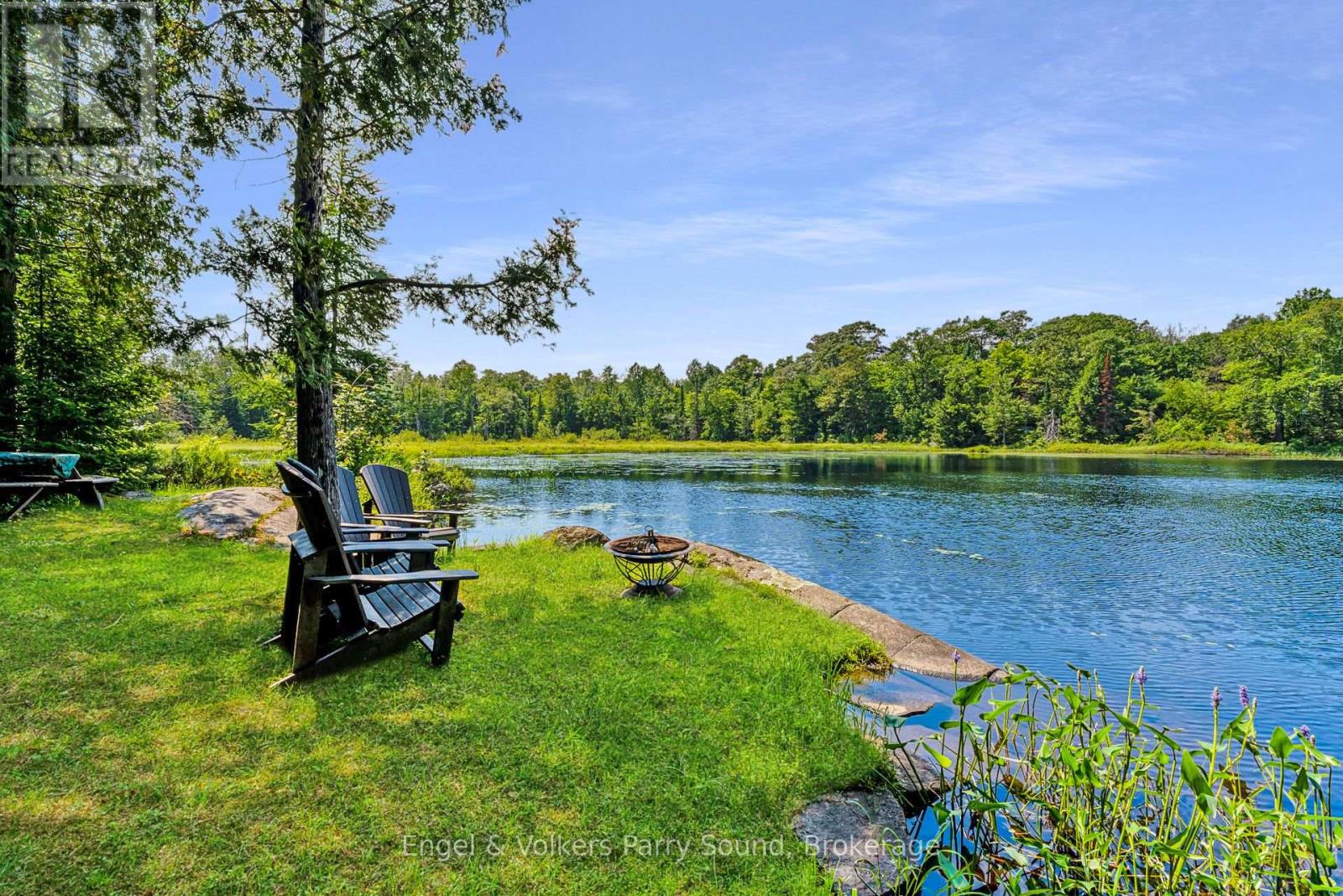 Level shoreline and private dock